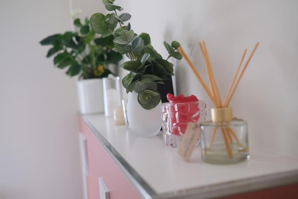 Ferienwohnung Arendsee อาเรนด์เซ ภายนอก รูปภาพ